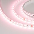 019096-2-arlight-6