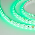 019096-2-arlight-7