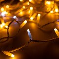 031205-arlight