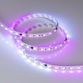 033447-arlight-4