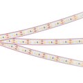033784-arlight-3