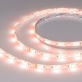 034184-arlight2