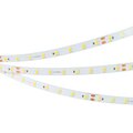 036359-arlight-3