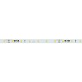 037956-arlight-3