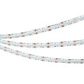 039742-arlight-4