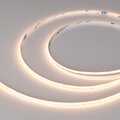 041696-arlight