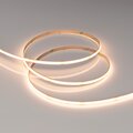 042036-arlight-4