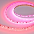 046871-arlight