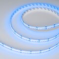 046936-arlight-8