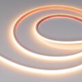 047893-arlight