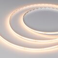 048025-arlight