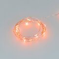048702-arlight