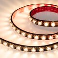 049300-arlight