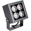 055243-arlight