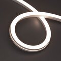 055599-arlight