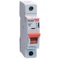 06112387r0-ls-electric