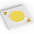 061639-arlight