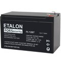100-12-007s-etalon-battery