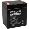 100-12-045s-etalon-battery4