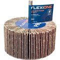 10000257-flexione