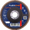 10000808-flexione