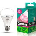 13241-camelion