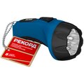 21701-rekord