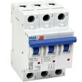 262804-keaz