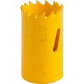 29547-030-stayer