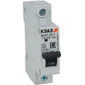 318224-keaz