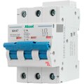 493304-akel