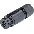 4l-031-3053-1-wieland-electric-gmbh