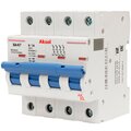 502416-akel