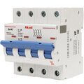 503406-akel6