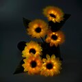 5053915-faza-3