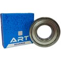 6202zztnart-art