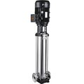 7995918-imp-pumps