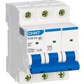 813871-chint