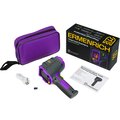 83843-ermenrich-2