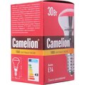 8976-camelion-(3)