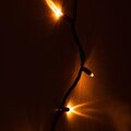B0060543_5