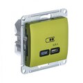 GSL001027_1