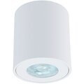 a1469pl-1wh-arte-lamp
