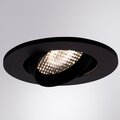 a2865pl-1bk-arte-lamp-2