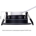 a2867pl-1bk-arte-lamp-3