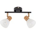 a3117pl-2bk-arte-lamp