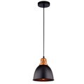 a4245sp-1bk-arte-lamp