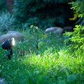 abovo_32230_2