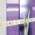 abovo_7f2cf642-3d47-4ce6-9e99-a24b11380fa3_009standard_element_10144_w_standard