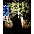 abovo_fonargolovnoy-f_09-24